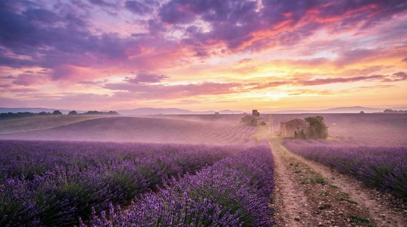 校花传媒风景拍摄